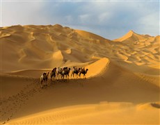 新疆之旅，愛上著遼闊無際大沙漠
